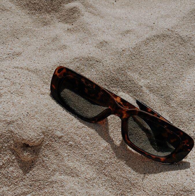 373454273_1278507459500614_8295646436558604254_n